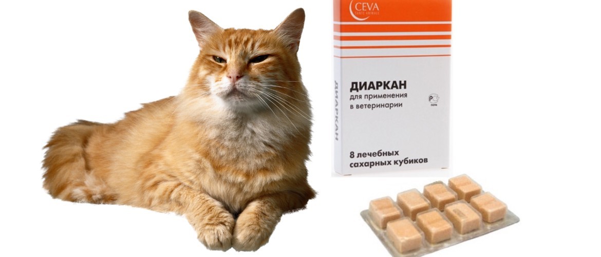 Диаркан для кошек и собак инструкция по применению лекарства диаркана в ветеринарии дозировка отзывы