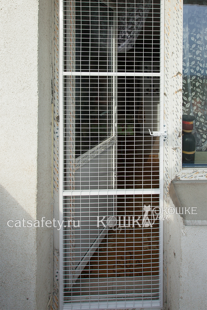 Сетка антикошка на балкон – виды и способы крепления на пластиковые окна