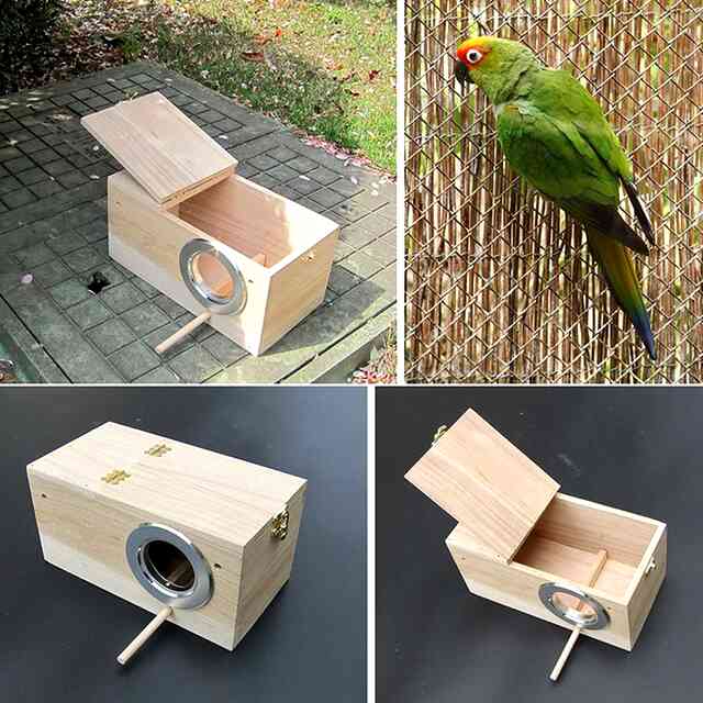 Гнездо для волнистых попугаев: каким должно быть, размеры, фото, из чего и как сделать своими руками, куда лучше повесить