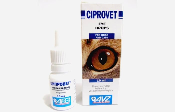 Ципровет для кошек: инструкция по применению таблеток и глазных капель, отзывы, меры предосторожности