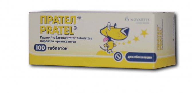 Прател / pratel (таблетки) для собак и кошек | отзывы о применении препаратов для животных от ветеринаров и заводчиков