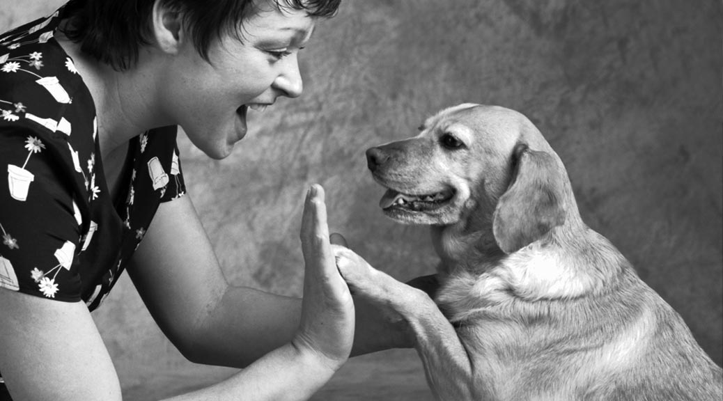 Понимают ли собаки человеческую речь: неопровержимые фаты и доказательства