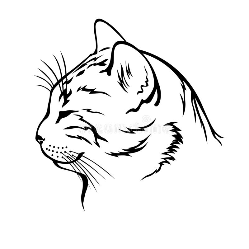 Как нарисовать кошку — поэтапно карандашом легко и просто