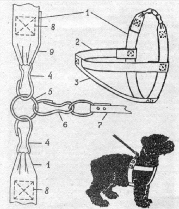 Шлейка для собаки своими руками — пошаговая инструкция