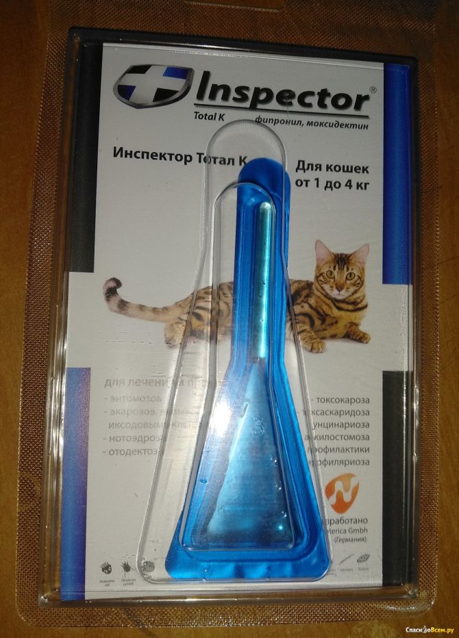 Инспектор для кошек (тотал): инструкция по применению капель от блох и глистов