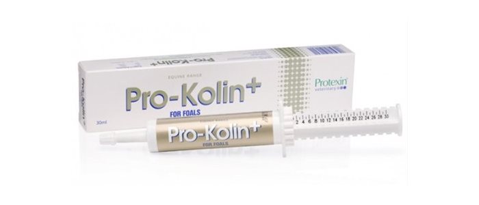 Проколин / pro-kolin (паста) для собак и кошек | отзывы о применении препаратов для животных от ветеринаров и заводчиков