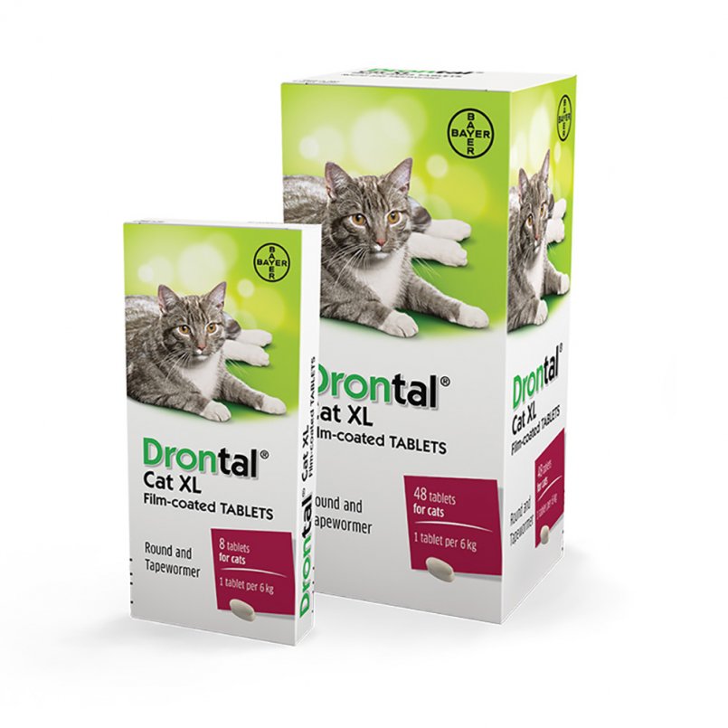 Дронтал для кошек: описание и особенности применения