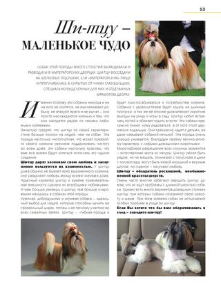 Ши тцу собака. описание, особенности, уход и цена ши тцу | sobakagav.ru