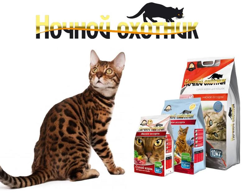 Корм для кошек «ночной охотник»: обзор, состав, ассортимент, плюсы и минусы, отзывы ветеринаров и владельцев
