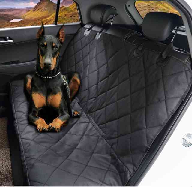 Перевозка собак в машине правила и приспособления
