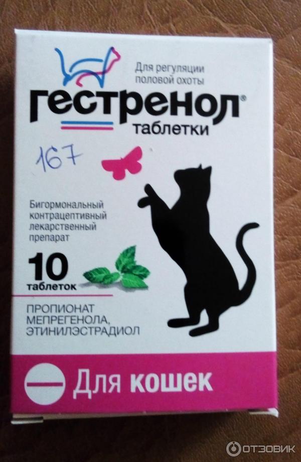 Препарат гестренол: эффективная регуляция половой охоты у кошек