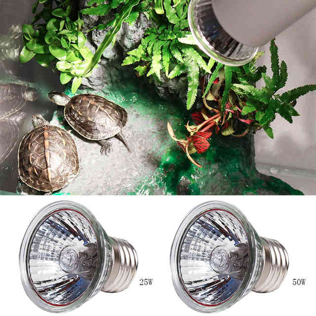 Ультрафиолетовая лампа для красноухой черепахи какую выбрать