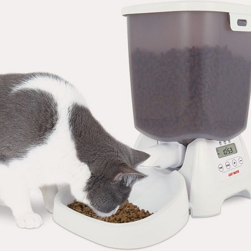 Автокормушка для кошек своими руками: процесс изготовления автоматической кормилки, различные варианты изделий