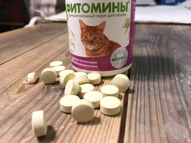 Витамины для котят всех пород