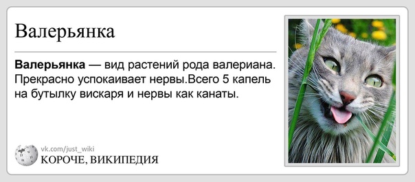 Сколько нужно капель валерьянки чтобы успокоиться