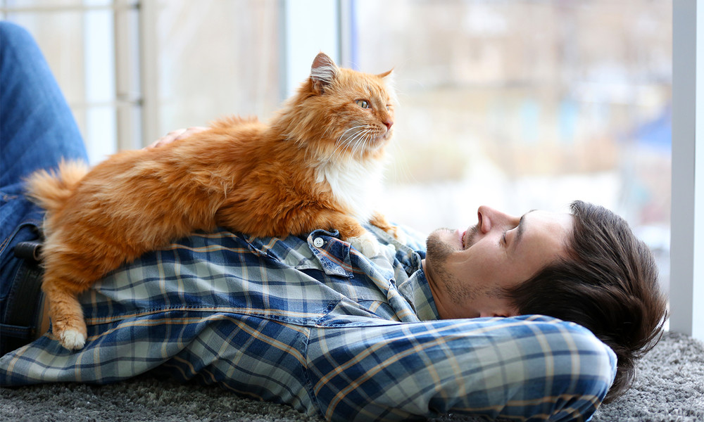 9 признаков того, что ваш кот любит вас!