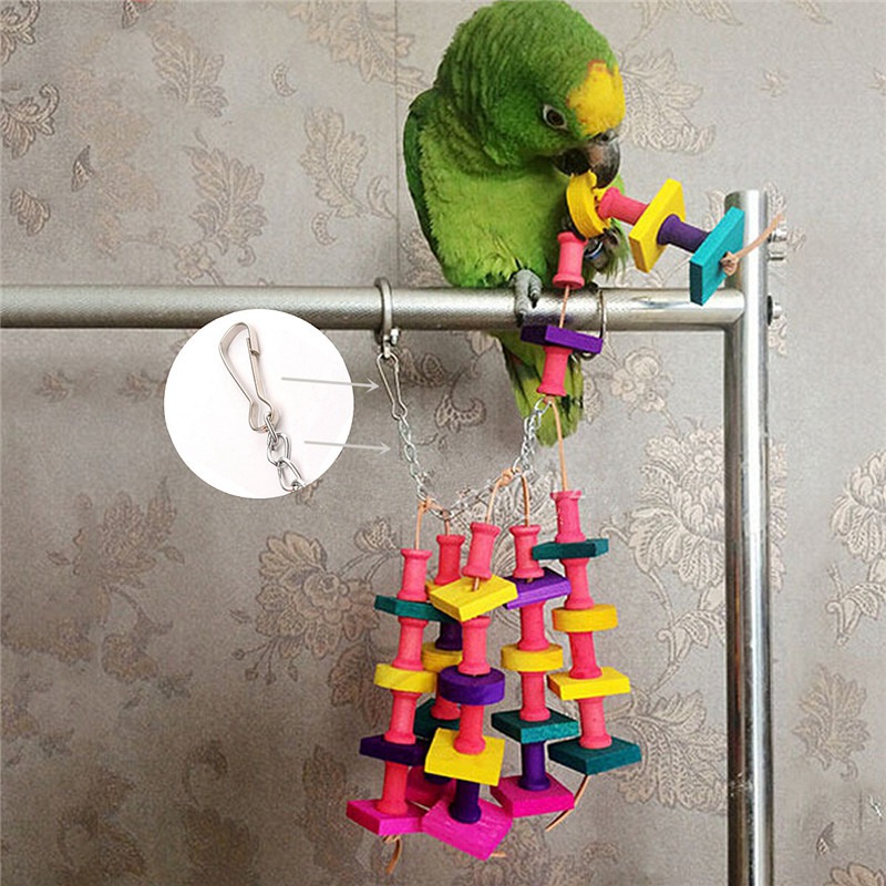 Как играть с попугаем писать. полезные игрушки для волнистого попугая. что нам может помочь