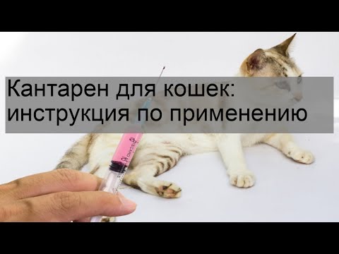 Поливак-ТМ для кошек: инструкция по применению