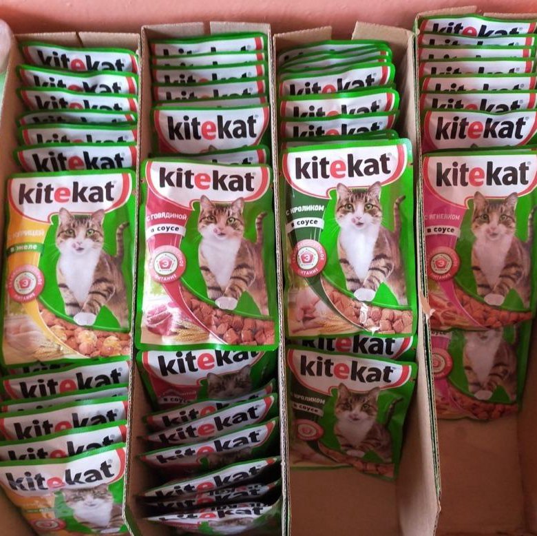 Обзор корма для кошек katty