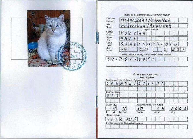 Ветеринарный паспорт на собаку: как сделать, где получить, для чего нужен собачий паспорт, какие еще бывают документы на собаку
