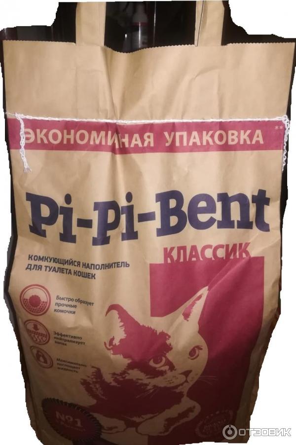 Котенок ест наполнитель для туалета - что делать - kotiko.ru