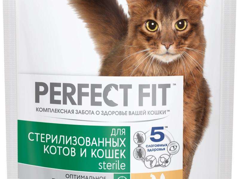Отзывы ветеринаров о популярном корме для кошек перфект фит