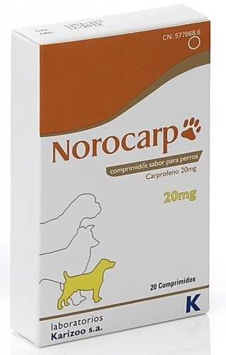 Норокарп таблетки 20 мг 10 табл