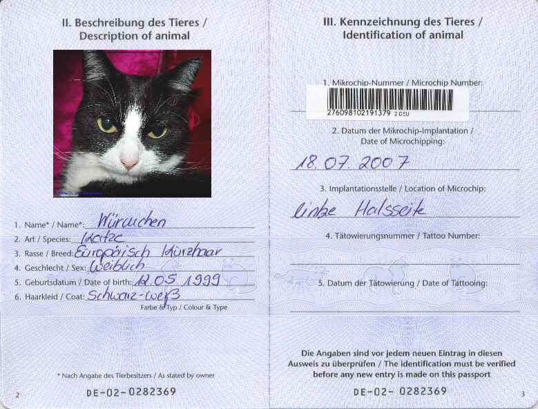 Форма ветеринарного паспорта животного 2021 - скачать образец