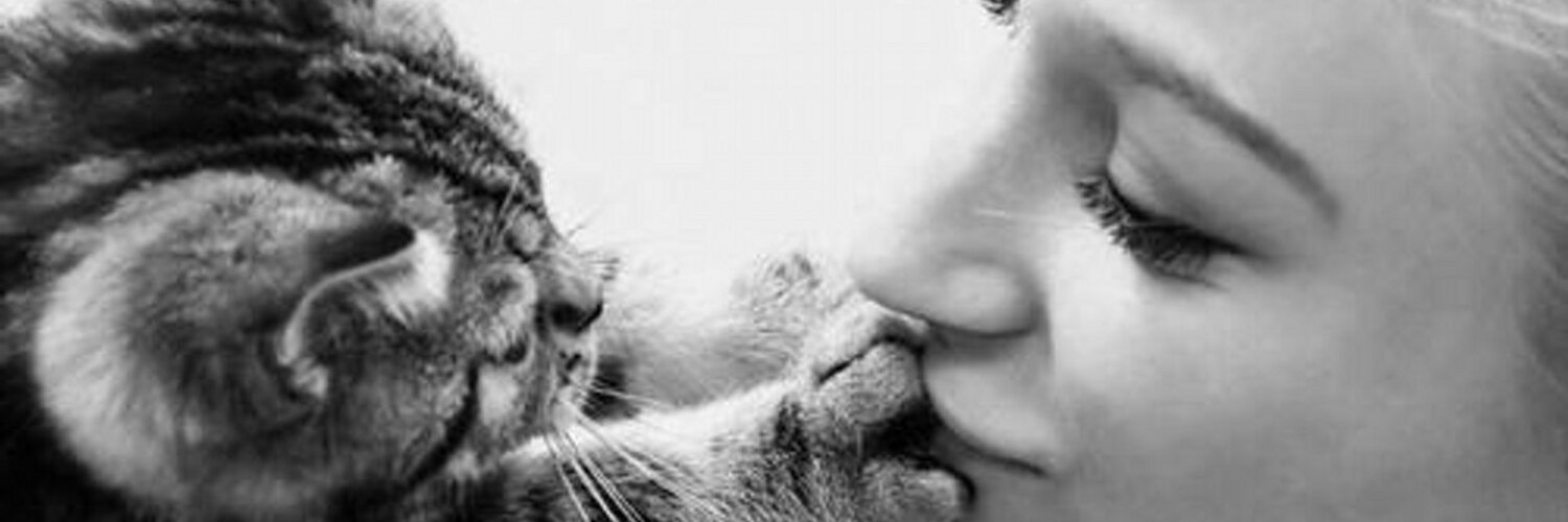 Действительно ли кошки любят поцелуи?