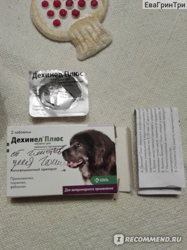 Дехинел плюс для собак – эффективный антигельминтный препарат