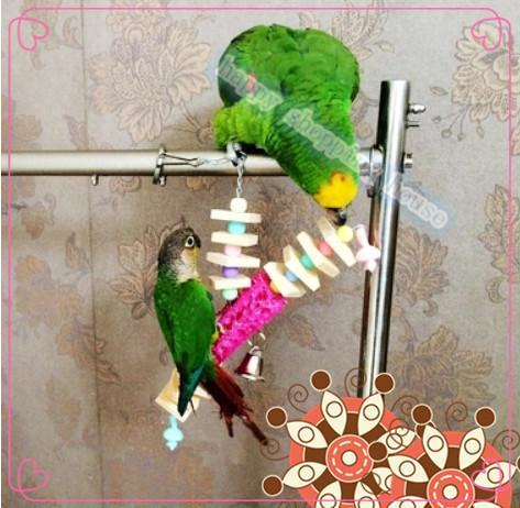 Как выбрать и изготовить игрушки для попугая