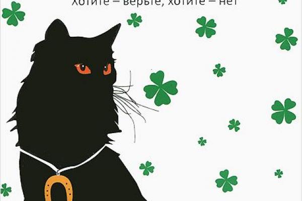 Откуда пошли все суеверия про черных котов и правдивы ли они | gafki.ru | яндекс дзен