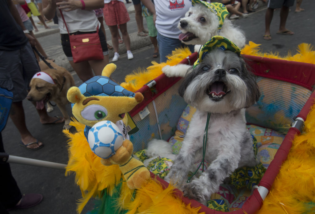 Бразильский карнавал в рио-де-жанейро