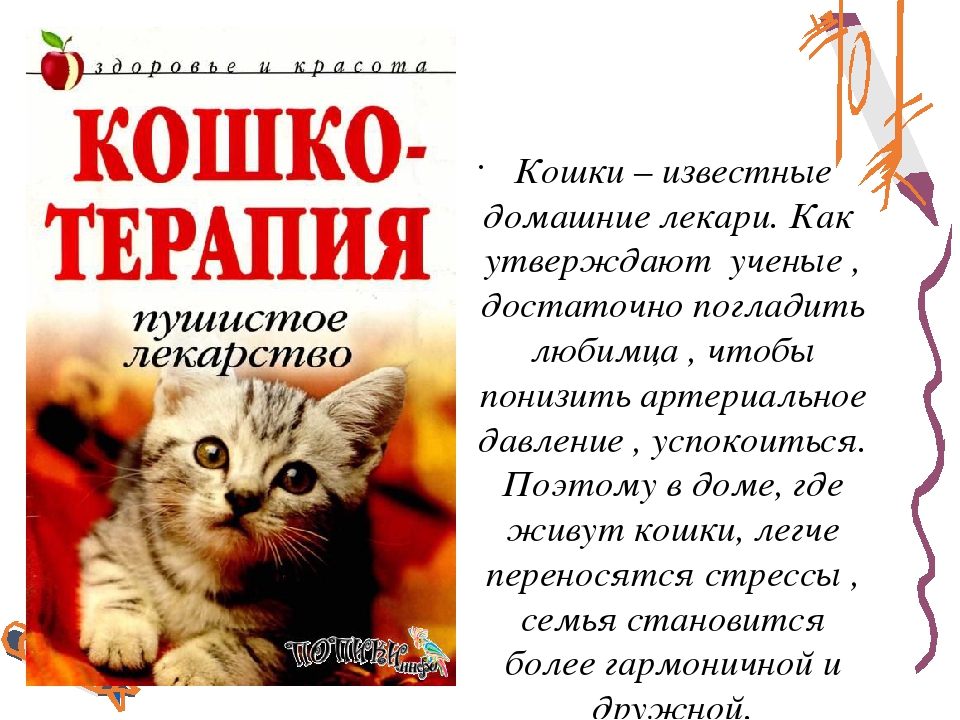 Три житейских истории о лечащих кошках
