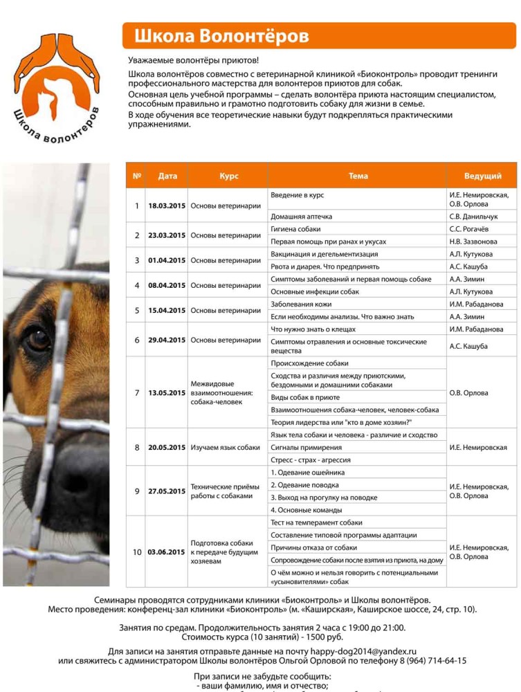Перечень базовых и интересных команд для собак: как обучить питомца