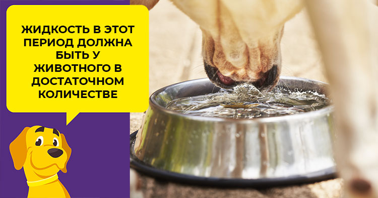 Гэрб – гастроэзофагеальная рефлюксная болезнь
