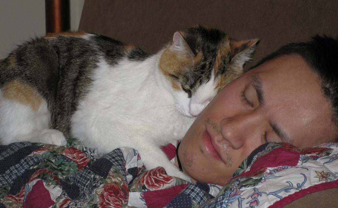 5 причин, почему кошка спит у головы хозяина – что делать
