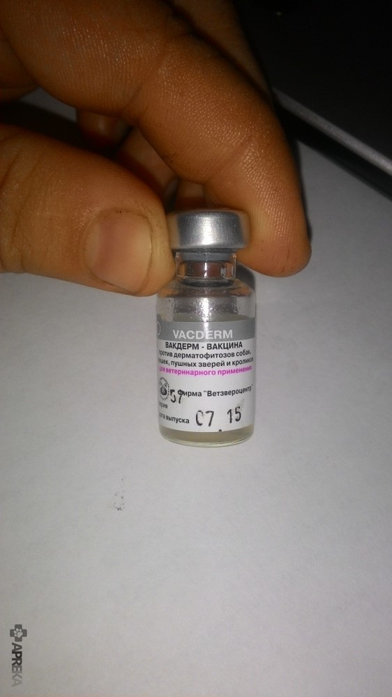 Инструкция по применению вакцины вакдерм f