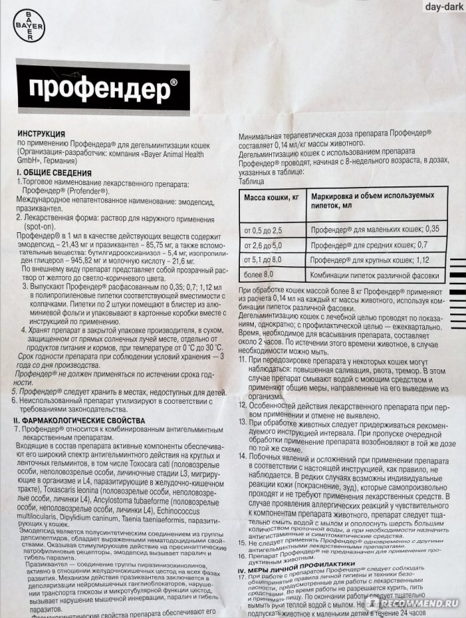 Дирофен для кошек: инструкция по применению, особенности действия и отзывы