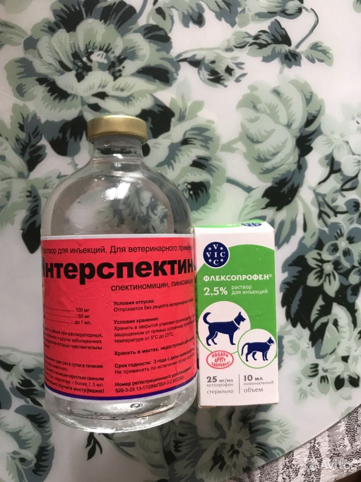 Флексопрофен 2.5%, 10 мл | ветеринарная клиника ирины оныщук