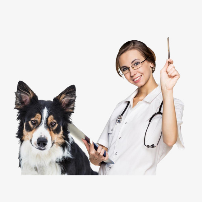 Способы передачи и профилактика заболеваний, передающихся от собаки к человеку | блог ветклиники "беланта"