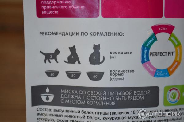 Особенности питания стерилизованных кошек и котов. какой корм выбрать своему питомцу? - петобзор
