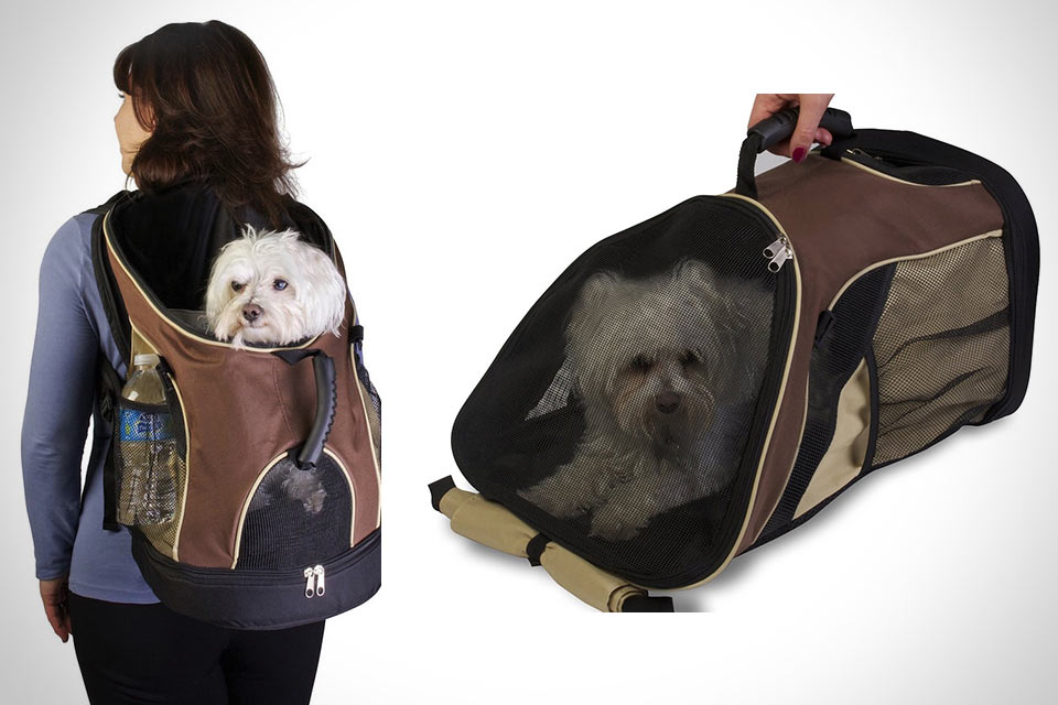 Переноска pet. Pet Zone сумка переноска 13338302. Petzone переноска. Рюкзак переноска для собак. Рюкзак для собак мелких пород.