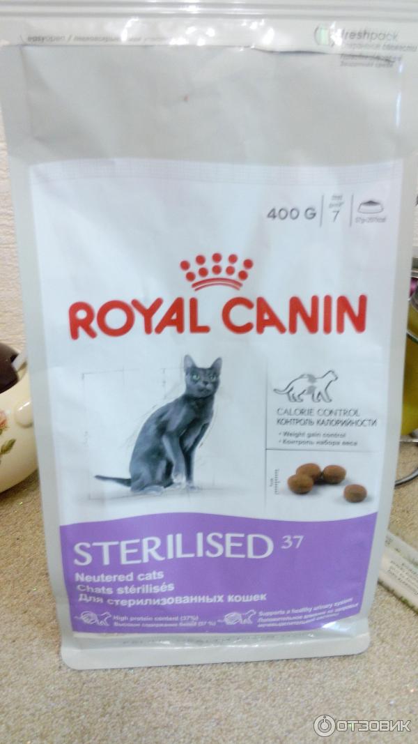 Корм для кошек royal canin — отзывы и разбор состава