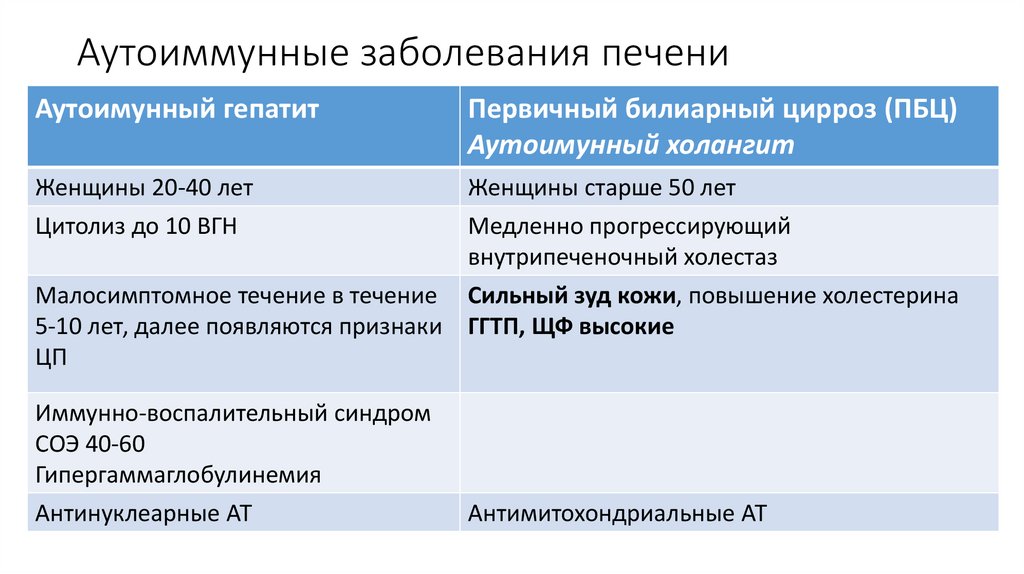 Узи печени у кошек