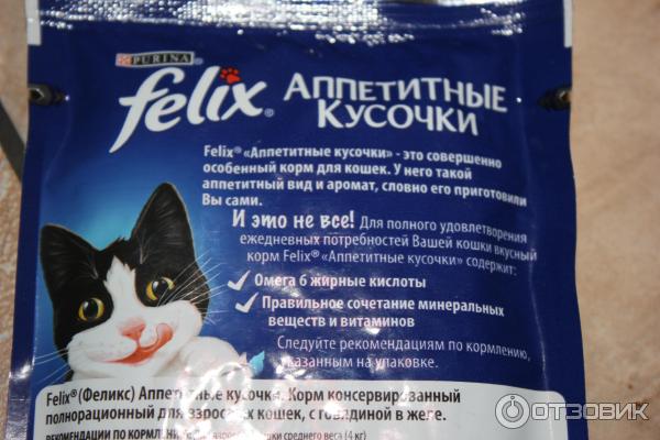 Кошки, лечебный корм для кошек, особенности и применение