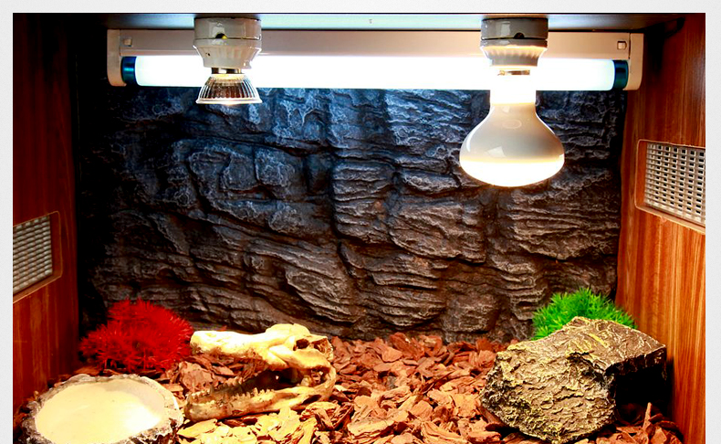 Освещение для красноухих черепах - ответы и советы на твои вопросы
