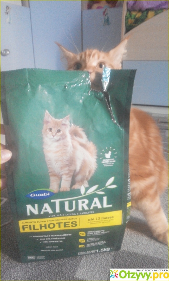 Корм для кошек guabi natural: отзывы и разбор состава - петобзор