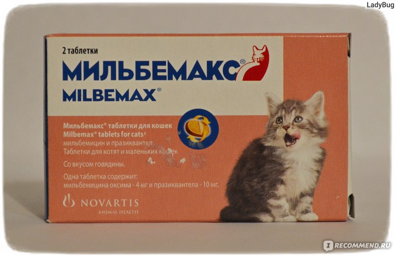 Мильбемакс для кошек и собак инструкция по применению