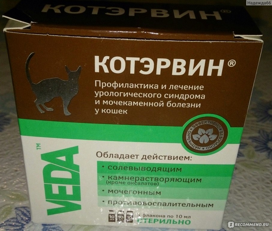 Котэрвин (капли) для кошек и котов | отзывы о применении препаратов для животных от ветеринаров и заводчиков